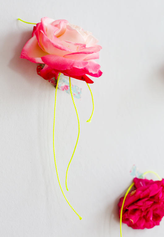 roses-tapped-to-wall-decor8