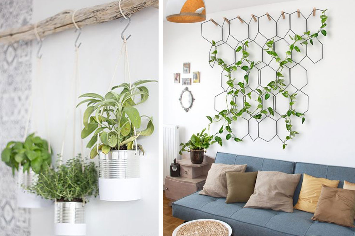 Décoration : 7 façons d'intégrer les plantes dans votre intérieur