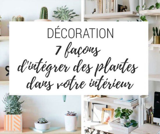 Décoration : 7 façons d'intégrer les plantes dans votre intérieur